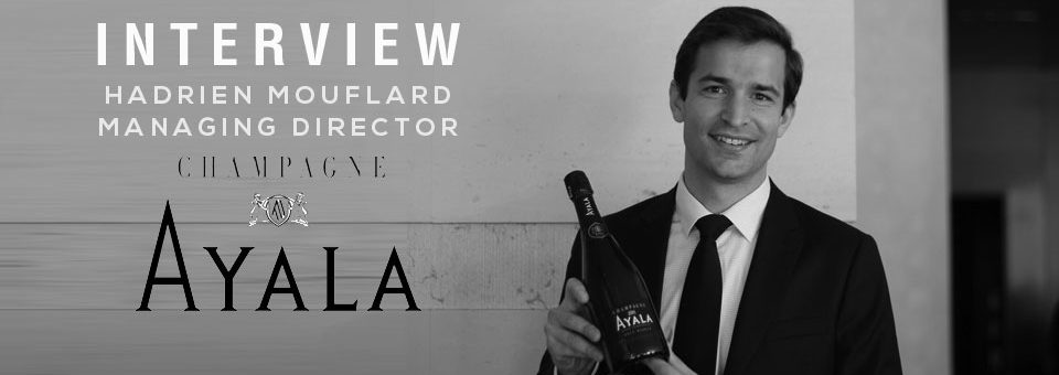 Interview with Hadrien Mouflard Hadrien MOUFLARD AYALA champagne INTERVIEW